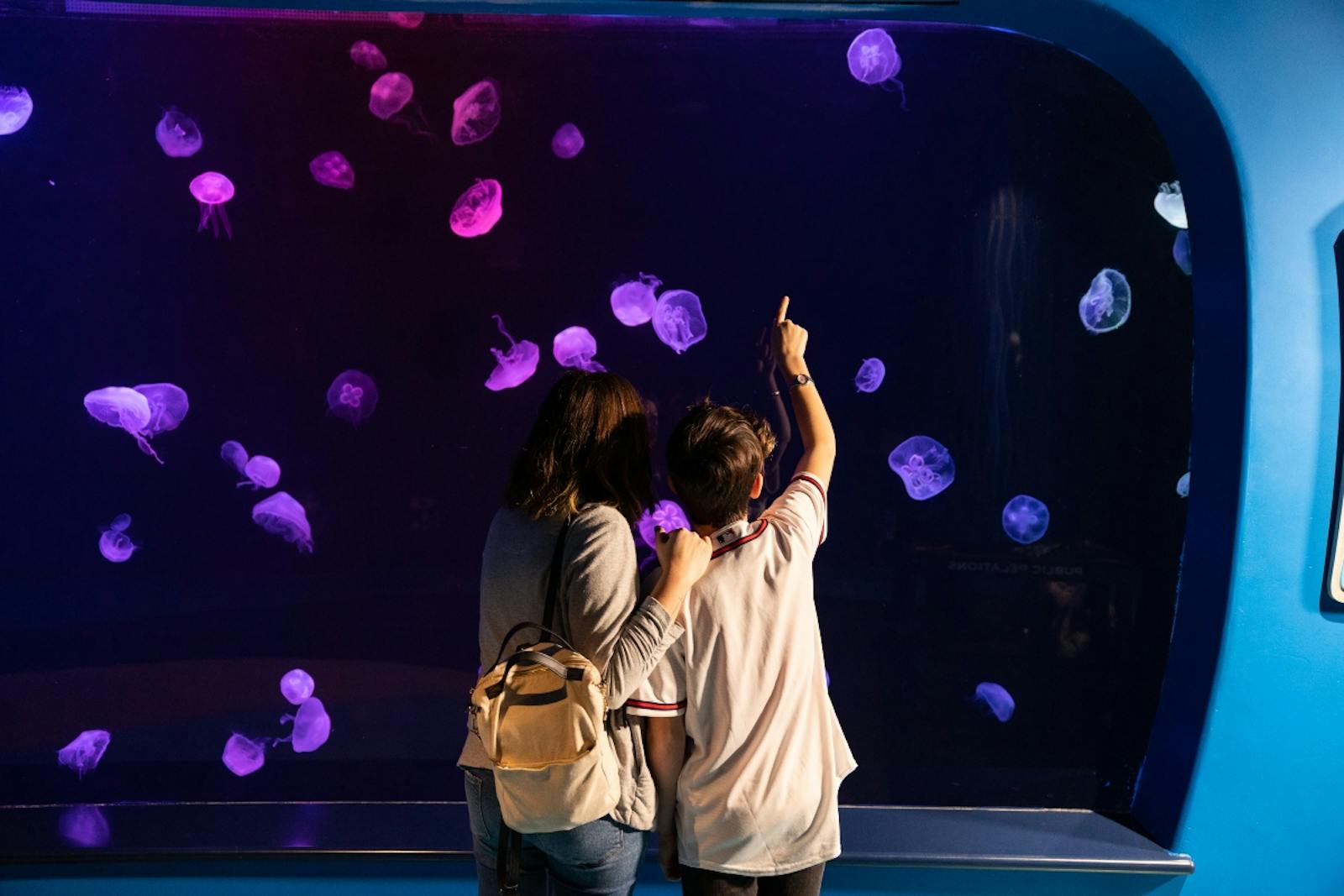 Děti pozorující medúzy v Georgia Aquarium